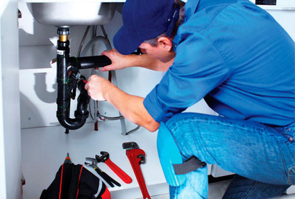 Servicio de Polomeria